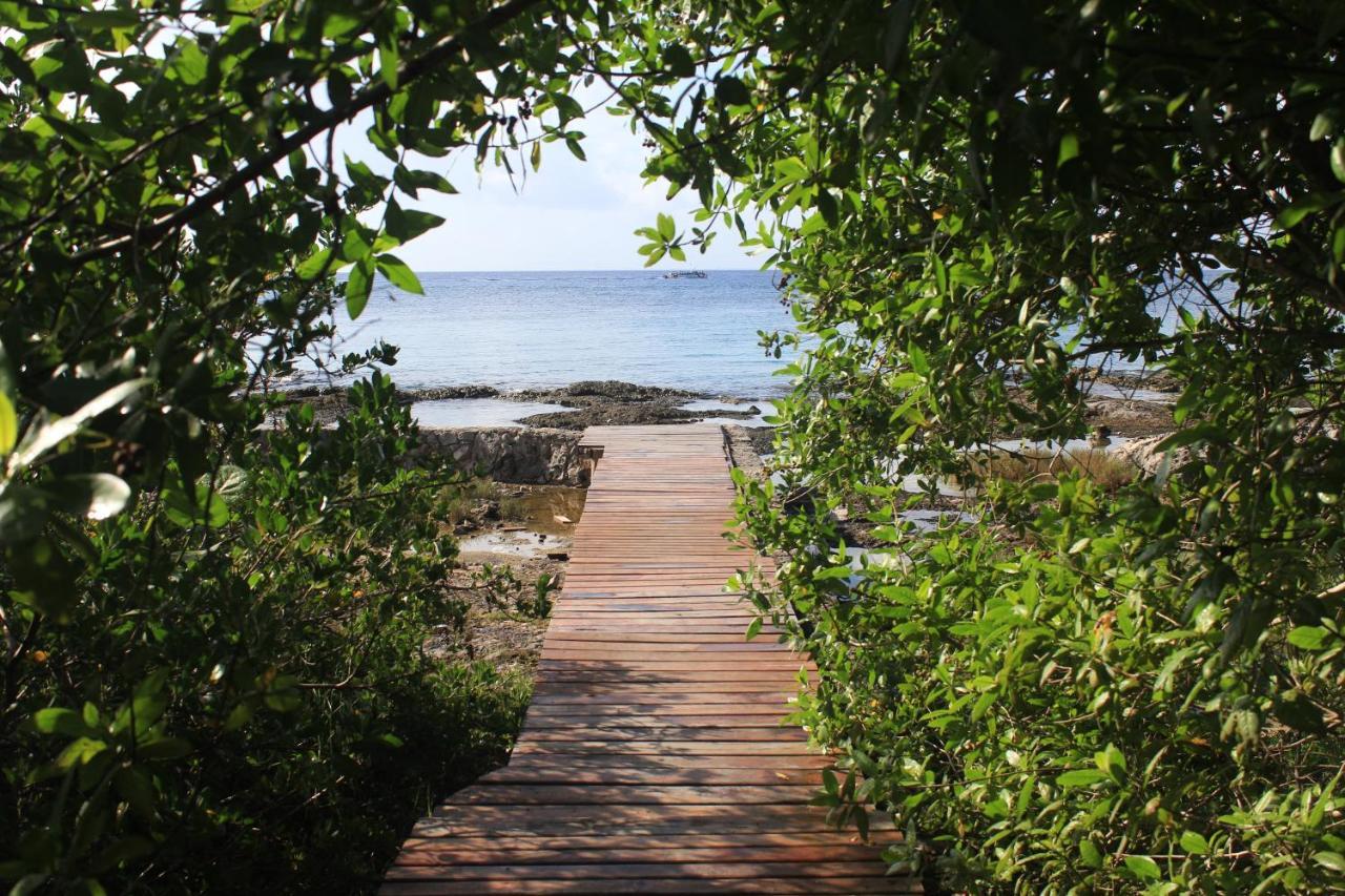 Confortable Casa En Cozumel, Condominio Con Vista Al Mar # 28 Zewnętrze zdjęcie